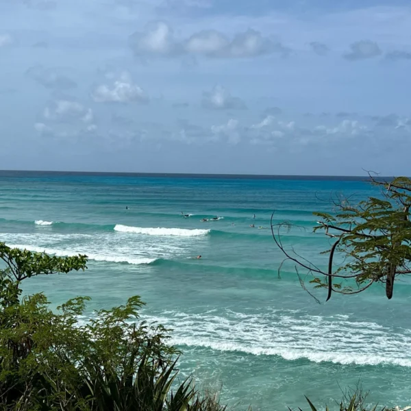 Scenic view of the ocean with gentle waves and a few surfers, seen from a lush, tree-lined coast.